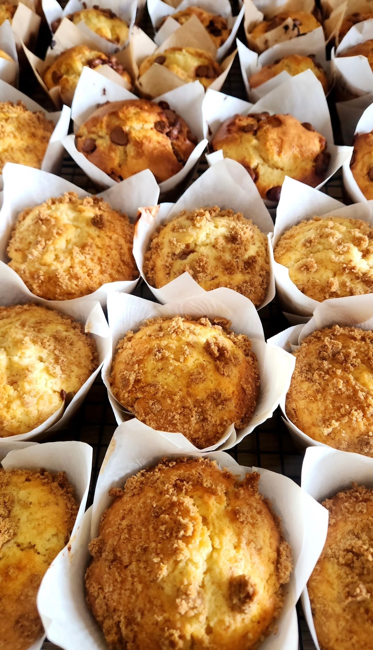 Variety Muffins
