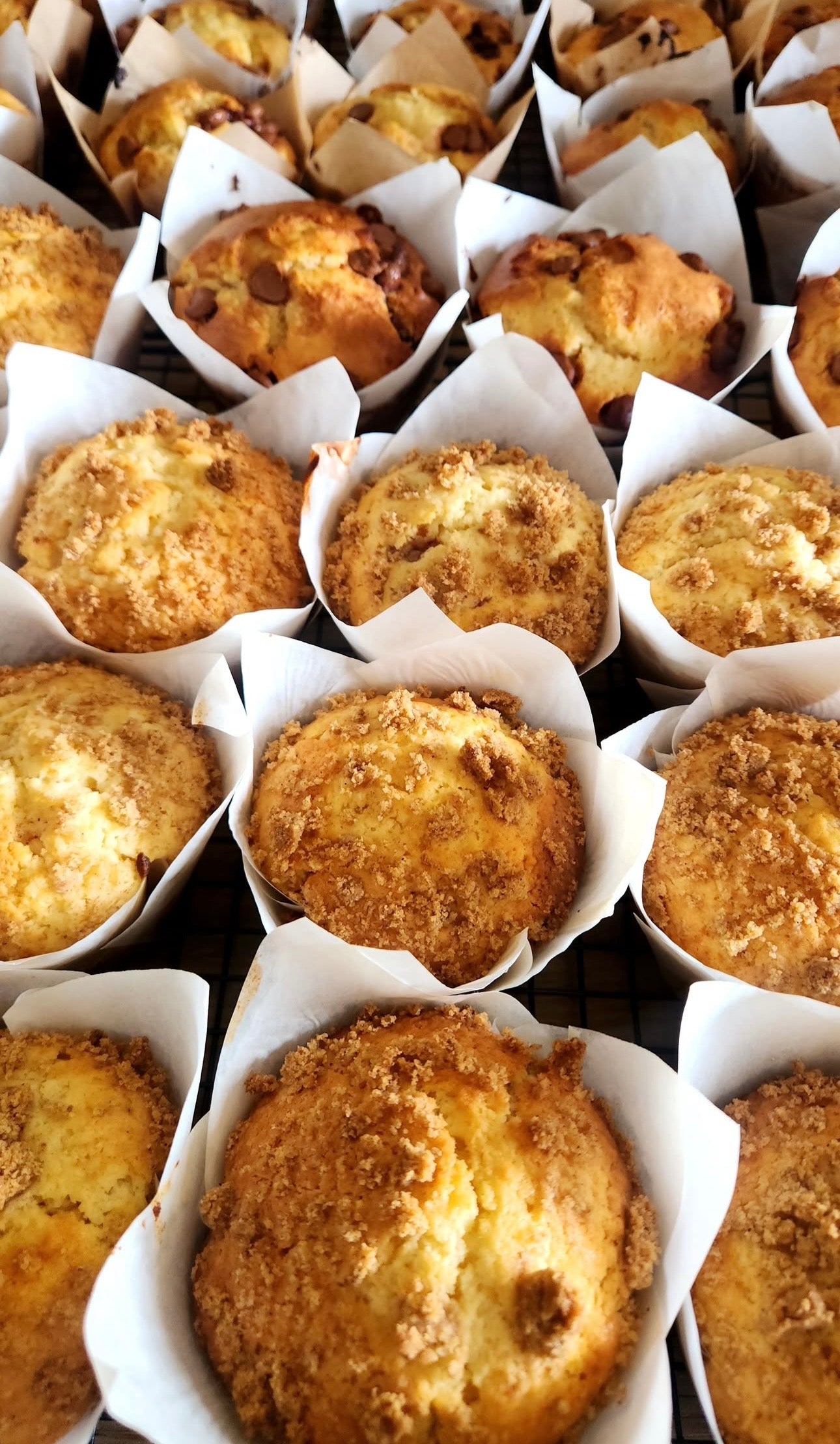 Single Muffin