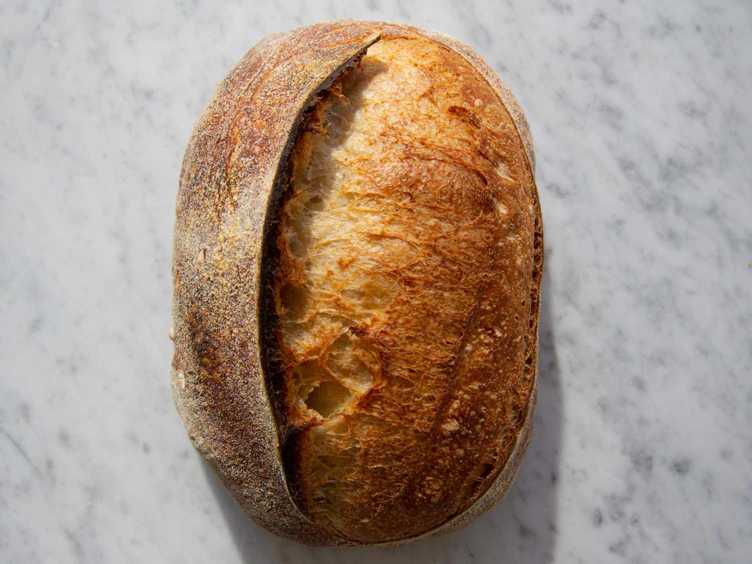 Plain Sourdough